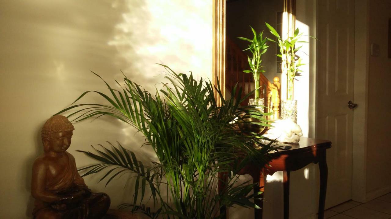 בורנבי Burris Guest House מראה חיצוני תמונה